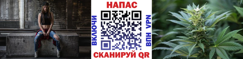 Шишки марихуана Amnesia  как найти закладки  Далматово 
